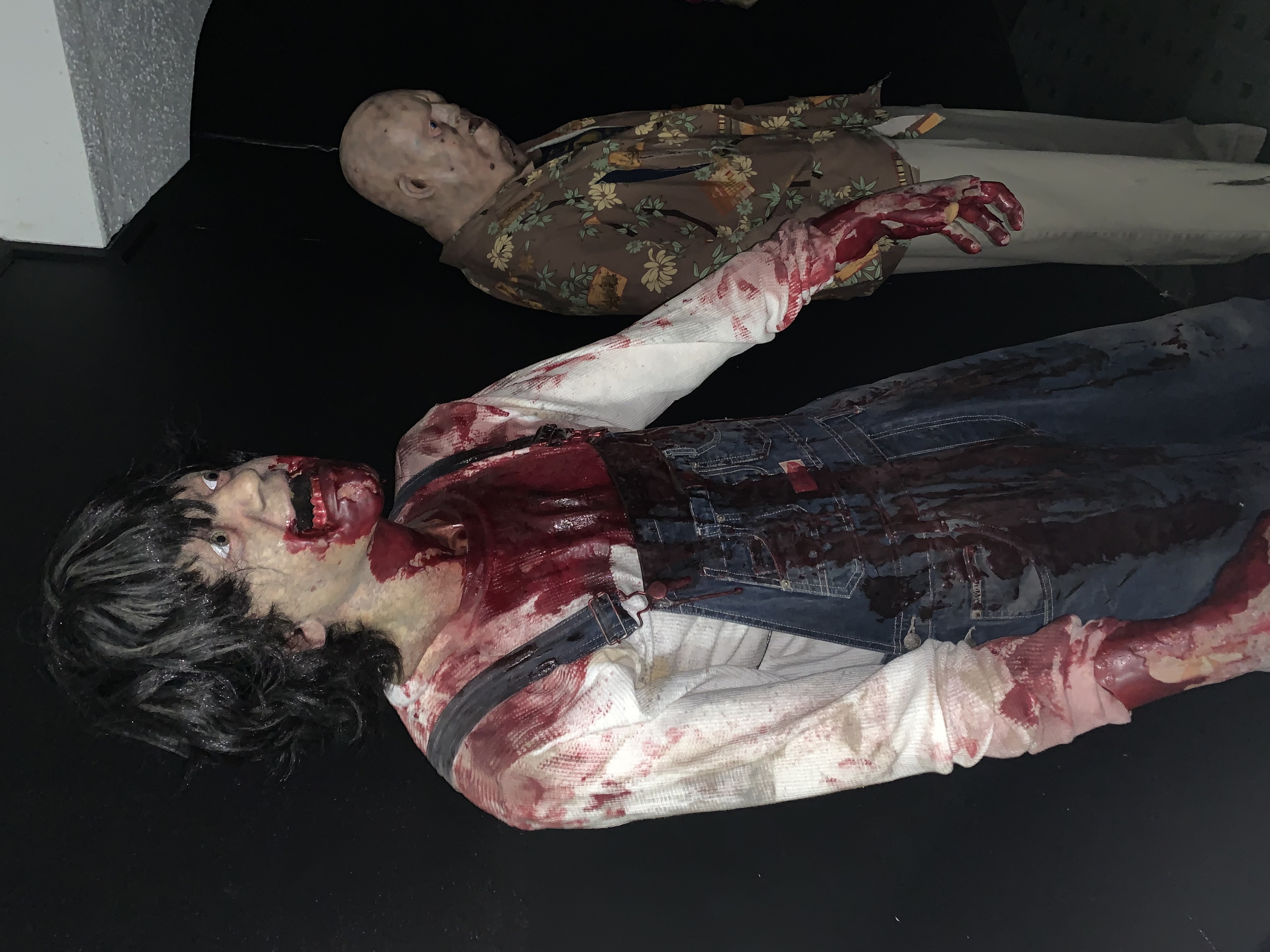 ./2022/06 - St Louis/06 - Day 6/20220526-152543215.JPG